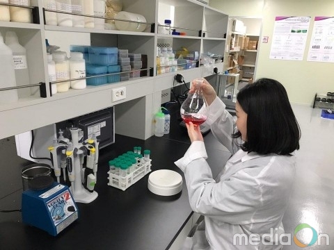 아미코스메틱, ‘감자 추출물 또는 감자박 추출물을 포함하는 여성 청결제조성물’ 특허1건 등록 결정